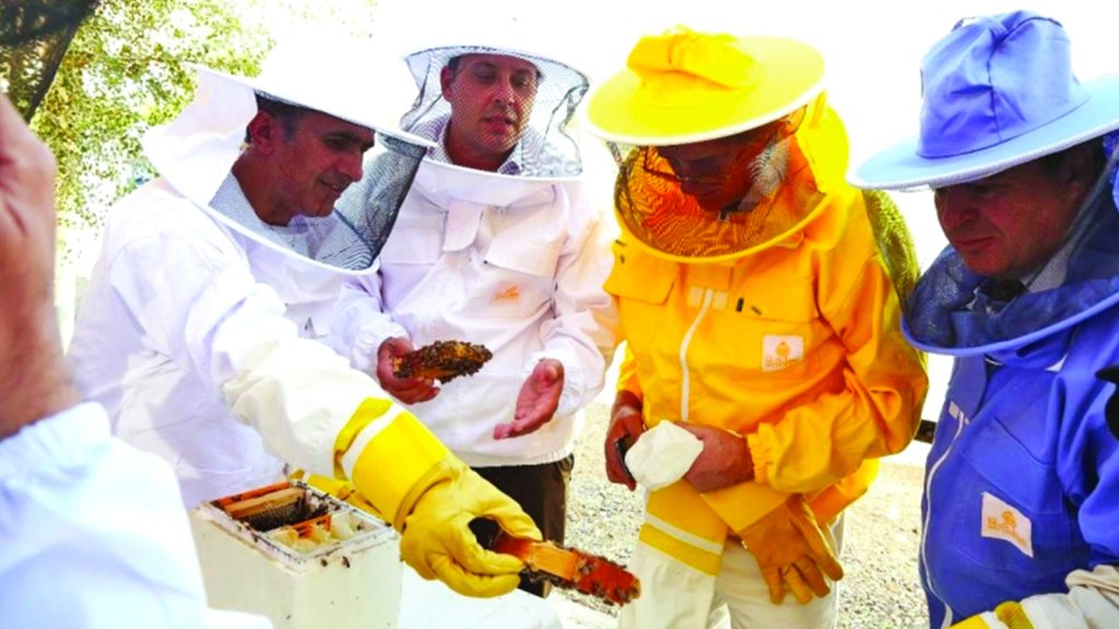 Honey production in the Emirates..Investment returns and challenges