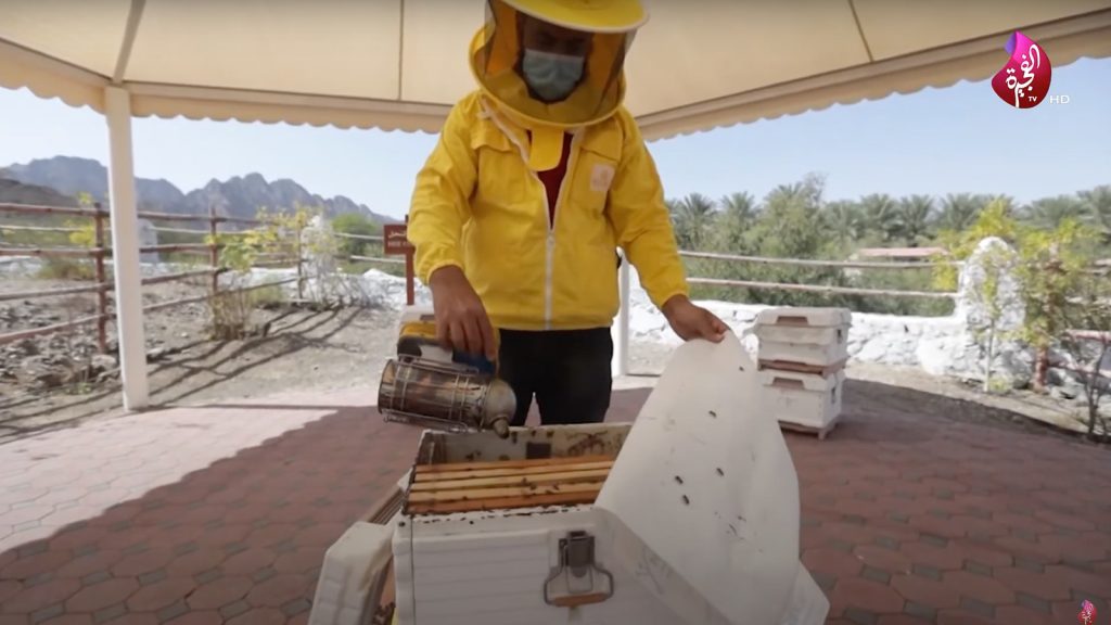 Hatta Honeybee Garden: A Reflection of Emirati Cultural Heritage and a Popular Destination for Visitors