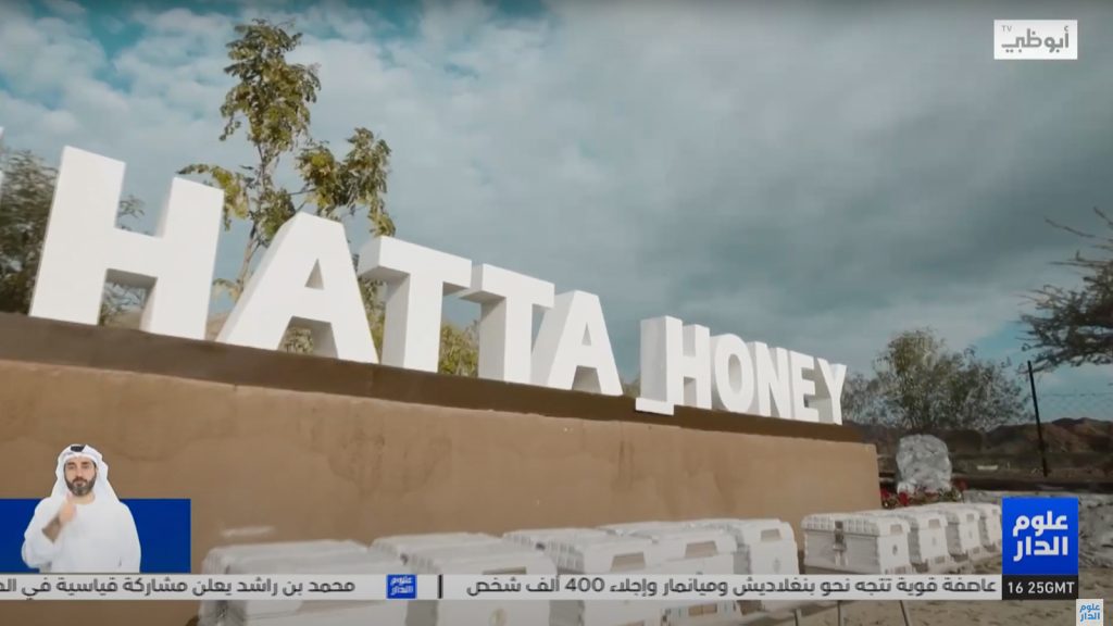 “Hatta Honey” .. The Jewel of The Crown of The Emirati Product, Decorated With 5 Thousand Queen Bees