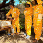 Beekeeping Novice Course